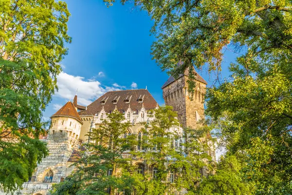 ハンガリーのブダペストの城 — ストック写真