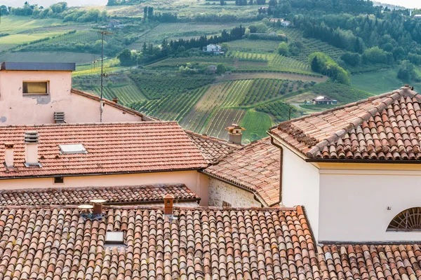 çiniler, çatılar ve İtalya'da Emilia Romagna engebeli kırsal zeytin ağaçları ve şeftali ağaçlarının alanları rahatlatıcı görünümü