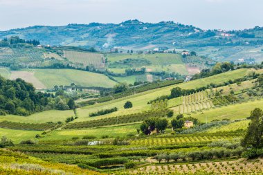 Emilia Romagna kırsal tepelerde meyve ağaçlarının ekili alanlar ve satırlar