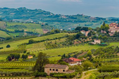 Emilia Romagna kırsal tepelerde meyve ağaçlarının ekili alanlar ve satırlar