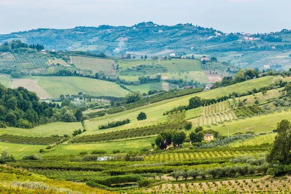 Emilia Romagna kırsal tepelerde meyve ağaçlarının ekili alanlar ve satırlar