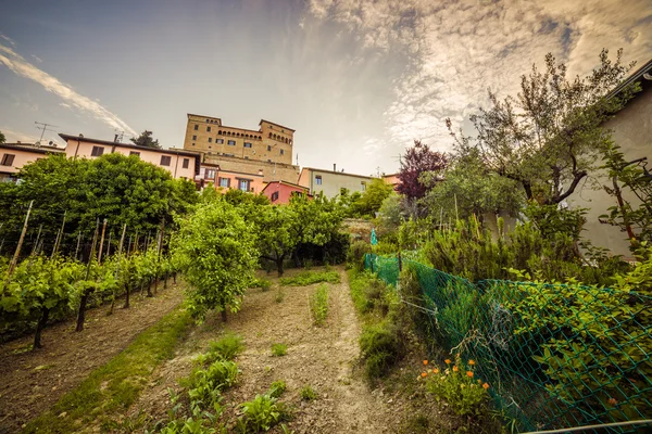 Cultivated Fields Orchards Vineyards 1200 Malatestian Castle Longiano Italy — Stock Photo, Image