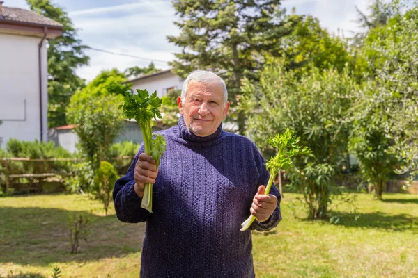 an old man is holding two stalks of celery in his backyard garden