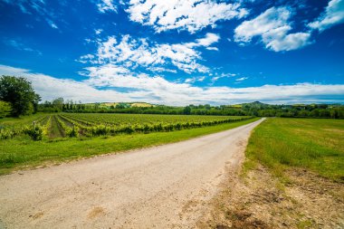 toskana ve Romagna Apennines tepelerde toprak yol ve ekili alanlar