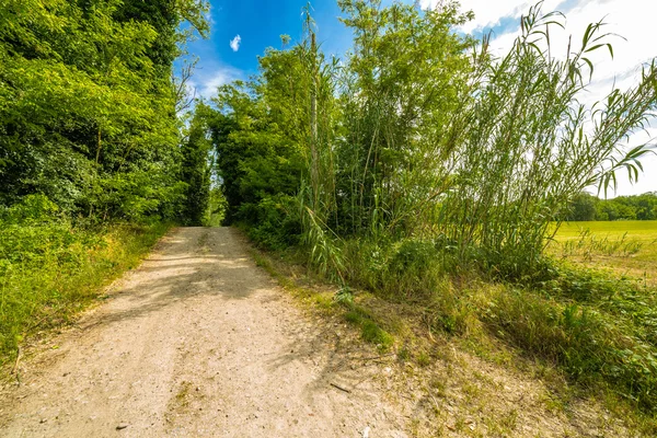 country road under the sky of Romagna in Italy