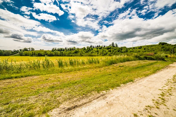 Camino Campo Bajo Cielo Romaña Italia — Foto de Stock