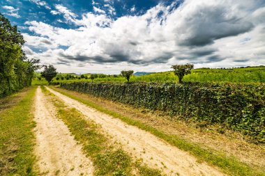 İtalya'da Romagna gökyüzü altında ülke yolu