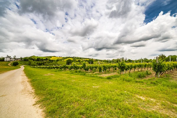 Camino Campo Bajo Cielo Romaña Italia — Foto de Stock