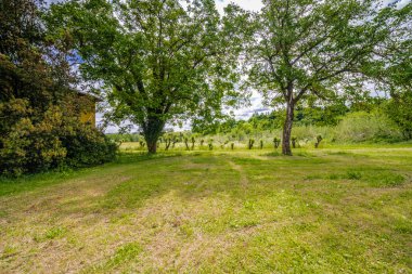 İtalya'da Toskana ve Romagna Apennines tepeleri
