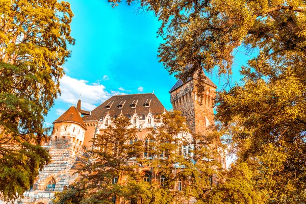 Castelo Budapeste Hungria — Fotografia de Stock