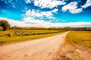 toskana ve Romagna Apennines tepelerde toprak yol ve ekili alanlar