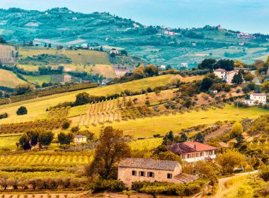 Emilia Romagna kırsal tepelerde meyve ağaçlarının ekili alanlar ve satırlar