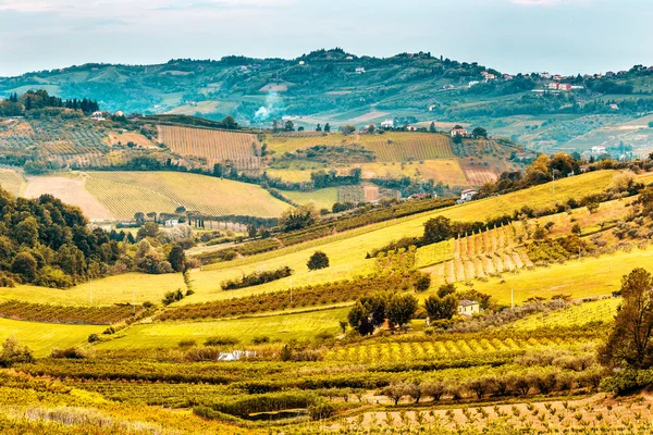 cultivated fields and rows of fruit trees in the hills of Emilia Romagna countryside