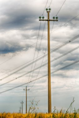 elektrik dağıtımı için kutuplar