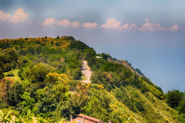 Panorama Gröna Kullar Gränsen Mellan Emilia Romagna Och Marche Italien — Stockfoto