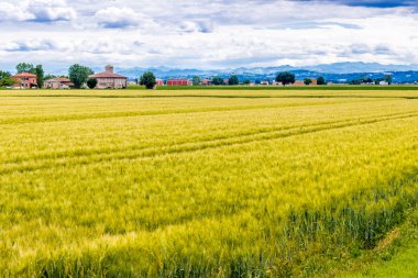 İtalyan kırsal alanları