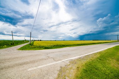 İtalya'da Romagna kırsal bukolik manzara