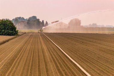 hose carries water to the sprayer watering and irrigating fields clipart