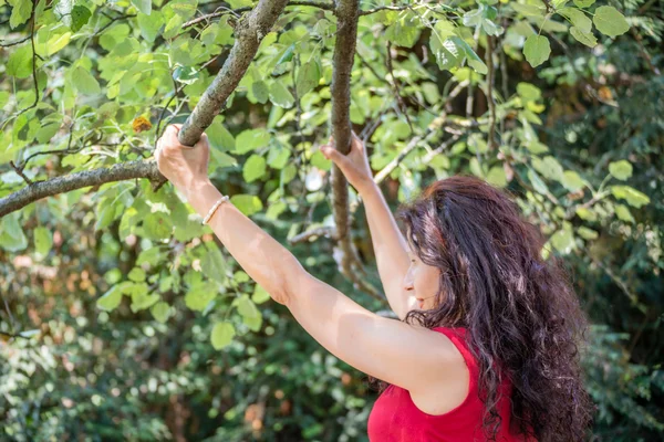 Peituda Mais Mulher Vermelho Com Longos Cabelos Vermelhos Ondulados Marrom — Fotografia de Stock