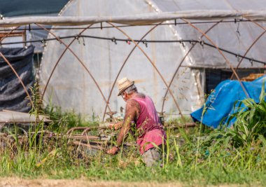 Çok kıllı yaşlı bir adam, terden sırılsıklam olmuş gömleğiyle paslı eski bir sabanla tarlayı sürüyor.