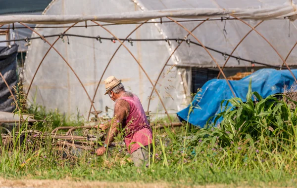 Vieil Homme Très Poilu Labourer Champ Avec Une Vieille Charrue — Photo