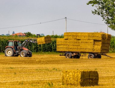 traktör tarladan saman balyaları topluyor ve römork onları yüklüyorum