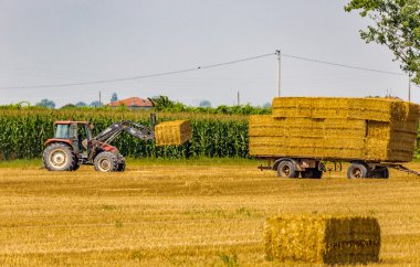 traktör tarladan saman balyaları topluyor ve römork onları yüklüyorum