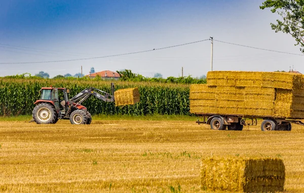 tractor is collecting the hay bales from the field and is loading them on the trailer