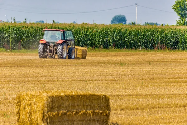 Traktor Sammelt Die Heuballen Vom Feld Und Lädt Sie Auf — Stockfoto