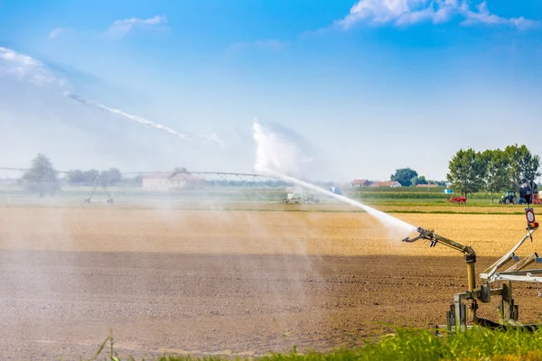 Hochdruckspray Aus Einer Bewässerungsdüse Zur Bewässerung Neu Gesäter Pflanzen — Stockfoto