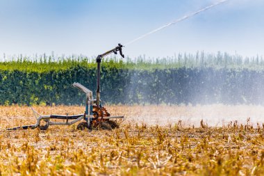 Kuru ve pul pul bitkileri sulama bir sulama meme yüksek basınçlı sprey
