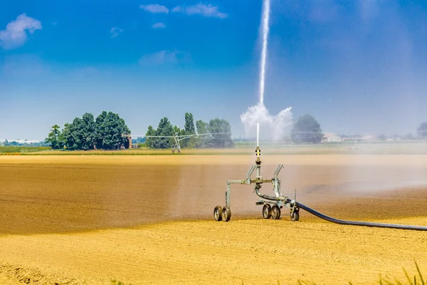 Hochdruckspray Aus Einer Bewässerungsdüse Zur Bewässerung Neu Gesäter Pflanzen — Stockfoto