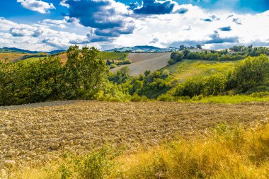 İtalya'da Emilia Romagna yazında güneş ve kuru kırsal tarafından kavrulmuş alan sürülmüş