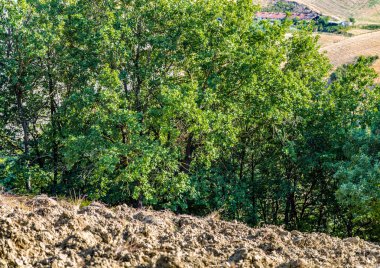 İtalya'da Emilia Romagna yazında güneş ve kuru kırsal tarafından kavrulmuş alan sürülmüş