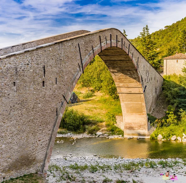 Puente Renacentista Respaldado Por Cerdos 500 Años Que Conecta Dos — Foto de Stock