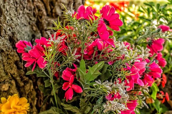 Votive flowers under a tree — Stock Photo, Image