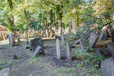 Prag 'daki eski Yahudi Mezarlığı