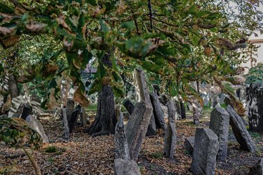 Prag 'daki eski Yahudi Mezarlığı