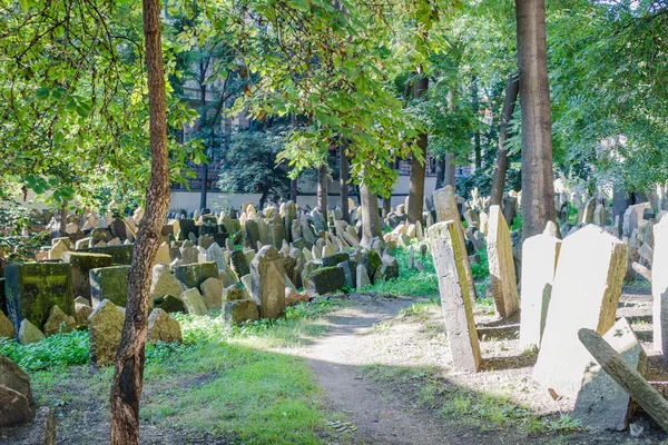 Старое еврейское кладбище в Праге — стоковое фото