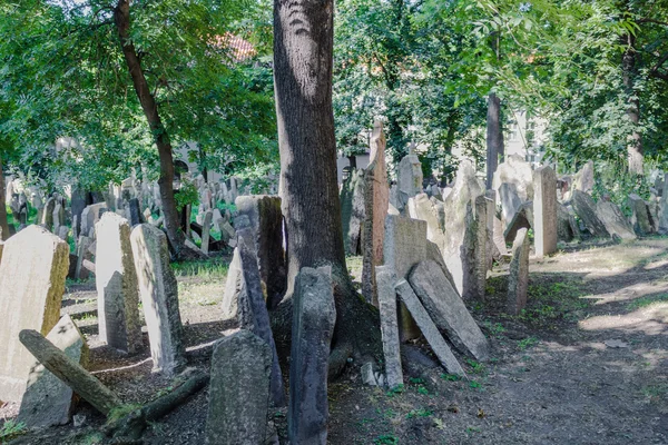 Antigo Cemitério Judaico em Praga — Fotografia de Stock