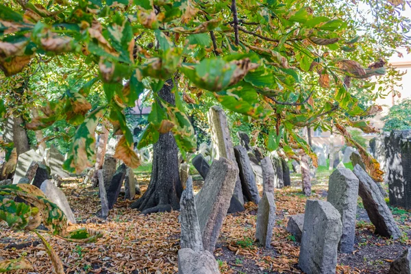 프라하의 오래 된 유대 묘지 — 스톡 사진