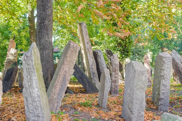 Oude Joodse begraafplaats in Praag — Stockfoto