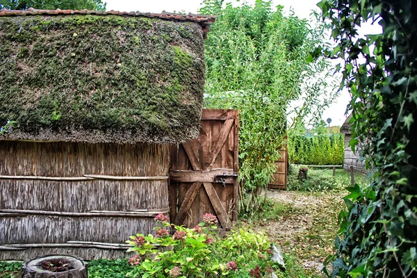 Marsh planten hutten — Stockfoto