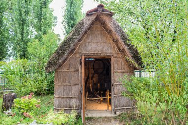 Marsh kulübe bitkiler 