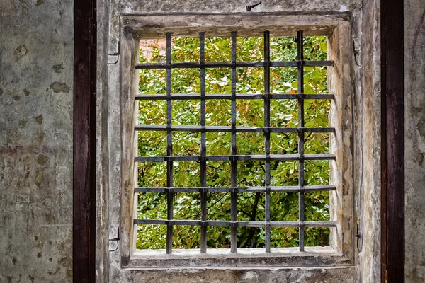 Ventana de Praga — Foto de Stock