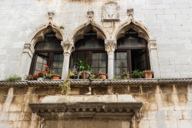 Hırvatistan'ın mimarisi: windows