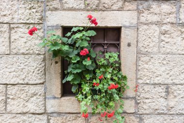 Hırvatistan'ın mimarisi