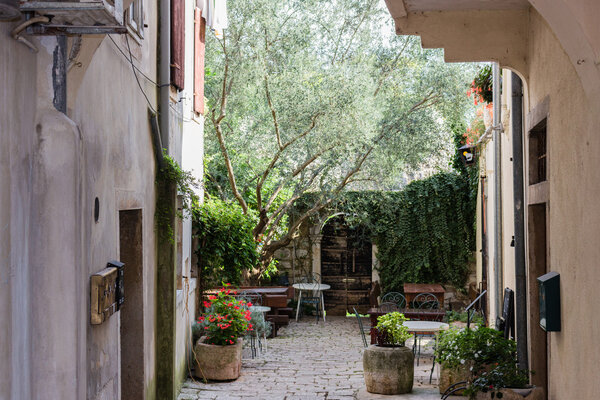 Typical istrian courtyard architecture: walls, doors, windows, stones and streets of Porec in Croatia