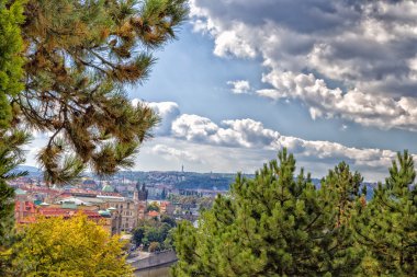 Prag 'ın kırmızı çatıları