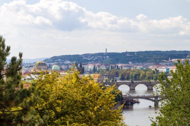 Prag 'ın kırmızı çatıları